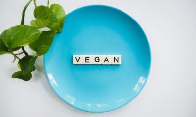 VEGAN - HIVECHRONICLE